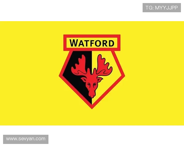 沃特福德俱乐部百年征程与英伦足球文化传承之深度探索 沃特福德俱乐部百年征程与英伦足球文化传承之深度探索