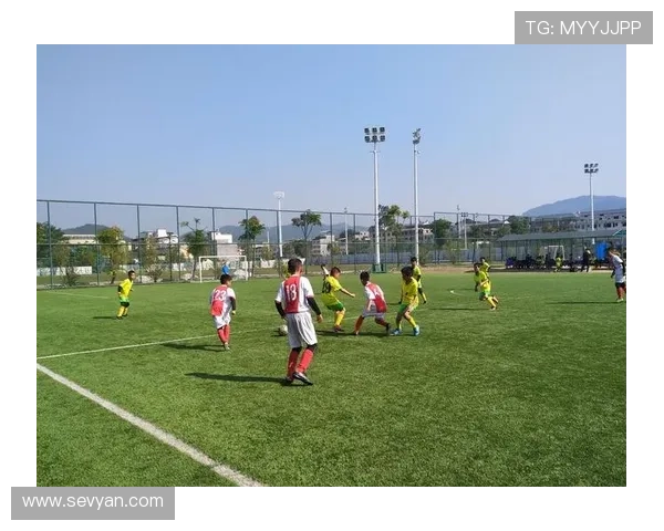 莱切俱乐部的历史传承与当代足球发展之路 莱切俱乐部的历史传承与当代足球发展之路